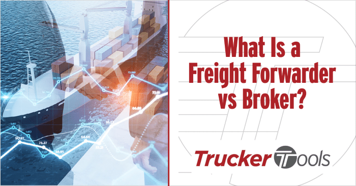 freight forwarder vs broker